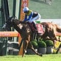 【スワンS結果】3歳馬ダイヤモンドノットが大接戦を制し重賞3勝目