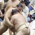 十両・輝が秋巡業合流　現地でＰＲ活動に参加した来年６月のバンコク公演へ意欲「幕内力士として参加したい」