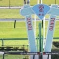 【東京1R】珍名馬イトウカカリチョウが初勝利！未勝利卒業で晴れて「昇進」