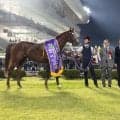 【盛岡・南部杯】福永厩舎が東西＆盛岡メイン3連勝！吉原寛人「すごい勢いの厩舎」