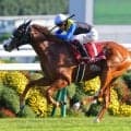 【スワンS】横山武「ちょっとドキドキした」3歳馬ダイヤモンドノットが抜け出す