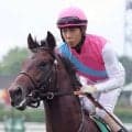 【もみじＳ・水納の特注馬】函館２歳Ｓ１２着のロンドンガーズの巻き返しに期待　良馬場なら違う