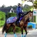 【注目馬動向】昨年の最優秀２歳牡馬カヴァレリッツォは復帰予定の富士Ｓへの登録見送る　シルクホースクラブ発表