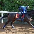 【秋華賞・松ケ下の特注馬】１強ムードのモンローウォーク　相手候補は同じキズナ産駒のエンネ　大型馬の休み明け２走目に注目