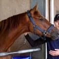 【秋華賞】２人の師匠から学んだ馬ファースト　テイエムアイランとＪＲＡ初平地Ｇ１に挑む宮地調教師「平常心で臨むだけ」