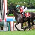【秋華賞・超ブル診断ステップレース編】過去より劣る時計は明らかに馬場の差　ローズＳを３馬身差で制した新星が最高評価