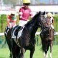 【注目馬動向】１・７億円馬キューティボンドはデイリー杯２歳Ｓを視野　兄ダノンベルーガ、姉ボンドガールの良血馬　僚馬ドラゴンバルドは京都２歳Ｓを視野