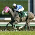 ディープサマーが２４歳で死す…０５年のクリスタルＣ勝ち馬　タイキシャトル産駒