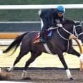 【秋華賞】スマートプリエールは馬なりで鋭伸　初コンタクトの幸英明騎手「やっぱりいい馬だなと感じました」