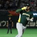 侍粉砕の大砲「こんなんが独立に」　日本でOPS1.154…争奪戦勃発「これは新外国人候補」