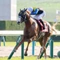 【注目馬動向】ダイヤモンドノットは阪神Ｃで重賞連勝狙う　エルトンバローズ＆ジュンブロッサムは天皇賞・秋へ