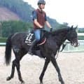 ２冠馬ロブチェンと神戸新聞杯で鼻差２着の接戦　アルトラムスが菊花賞を回避　社台サラブレッドクラブが発表