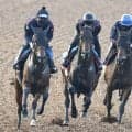 【富士Ｓ】アンパドゥ、重賞初制覇の勢い感じさせる最終追い　陣営「もっと上に行けるように」