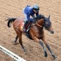 【秋華賞・追い切り】５か月半ぶり実戦のカナルサンマルタンは坂路で軽快　宮田敬介調教師「一発やるつもり」