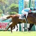 【注目馬動向】名牝アーモンドアイの２番子、プロメサアルムンドが美浦に帰厩　２度の手術を乗り越えて復帰へ