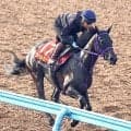 【秋華賞】ラベルセーヌは単走で活気十分　荻野極騎手「俊敏に動けるところがあるし軽いタッチで走る」