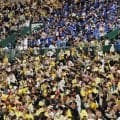 【阪神】熱戦のさなかパ・リーグの途中経過に観客沸く　日本ハム勝ち越し直後にビジョン反映