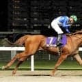 ブラフキャッチが鎌倉記念優勝　高月賢一調教師「川崎の馬が、川崎の重賞に川崎のジョッキーで勝った」３連単２５万円超の波乱