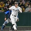 阪神に暗雲　佐藤輝が左足自打球で途中交代　第２戦へ「しっかり出られるように調整します」　藤川監督「元々、あった症状」