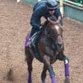 【富士Ｓまとめ・調教後談話】アドマイヤズームはＧ２連勝へ納得の仕上がり　重賞４勝目のかかるトロヴァトーレ陣営などのジャッジは…