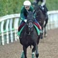 【秋華賞】「息を乱すことなく平然と…」無敗モンローウォークは坂路で軽快な走り　上村調教師「スターホースになっていけるだけの資質」