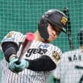 【阪神】ベンチスタートの佐藤輝明「重症ではないけど、今日は外れることに」試合前は室内で調整