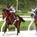 【阪神アーバン競馬】波乱！　単勝１・２倍のゴッドフェンサーが兵庫３冠を逃す　吉村智騎手「休み明けのせいか…」園田オータムＴ
