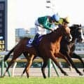 ジャパンＣの予備登録が発表　連覇を狙うカランダガンやキングジョージ覇者カルパナ、仏牝馬２冠ダイヤモンドネックレスなど２２頭
