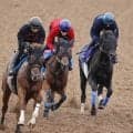 【注目馬動向】クロワデュノール全弟チャリングクロス　石川裕紀人騎手との新コンビで菊花賞へ