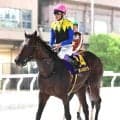武豊騎手とコンビでジャパンダートダービーＶノットゥルノが種牡馬入り　ＪＲＡが競走馬登録抹消を発表