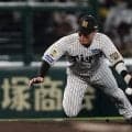 【阪神】佐藤輝明の代役、サードの木浪聖也、守備で甲子園わかせる