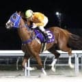 【ゴールド争覇・名古屋】シャマルを撃破！　ベントが重賞３連勝　今井貴大騎手「この馬はまだまだ強くなる」