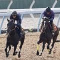 【秋華賞】ドリームコアは１週前から一変し確実に上昇　田中博調教師「競馬に行って促したときに反応が出るイメージ」