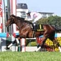 日本ダービー５着のマテンロウゲイルが電撃引退...今年の若葉Ｓ勝ち馬にアクシデント