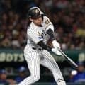 【阪神】立石正広VS馬場皐輔　阪神の新旧ドラ１対決に甲子園わく