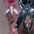 【ＰＯＧ】珍名馬バシャウマが京都でデビュー　橋口調教師「初戦からやれていい」馬車馬のようにひたすら前を目指す！？