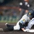 阪神・植田　九回１死一、二塁で高寺と重盗　連敗甲子園に最後で見せ場　藤川監督が執念采配「何とかしなければと、それが私の責任」