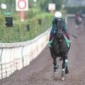 【秋華賞】「スターホースになっていけるような資質を持った馬」モンローウォーク最後の１冠へ坂路楽々５３秒２