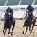 【秋華賞】紫苑Ｓ３着馬が１週前から一変　田中博師「重馬場にならないでしょうし、平坦になるのでこなしてくれるのでは」