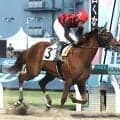 デビュー３戦３勝　小町特別を圧勝したゴールドコマチ　古岡勇樹騎手とともに重賞初制覇を狙う
