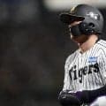 【阪神】佐藤輝明＆森下翔太は主軸の宿命　WBCからぶっ通しで全力プレー続けた代償も
