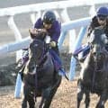 【富士Ｓ・金曜気配】トロヴァトーレは内目の枠から巻き返す　最終調整を完了し鹿戸調教師は「スタートだけですね」