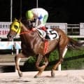 【阪神アーバン競馬】最低９番人気、単勝１万４３６０円の伏兵が大激走Ｖ　園田８ＲのイスラアズールにＳＮＳ仰天「えっ？」