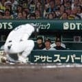 【阪神】CS突破へ崖っぷち…PS史上初３戦連続完封負け　佐藤、森下に続き前川にもアクシデント
