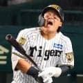 【阪神】前川右京が試合中に病院直行　左手に死球受け交代「今は何も」また打線にアクシデント