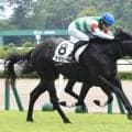 【１７日の注目・東京９Ｒ】クラシックへの登竜門として注目　ドウデュース、マスカレードボール…に続くのは前走で激変したキズナ産駒だ