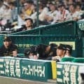 【阪神】追い込まれた虎が動いた　中野拓夢「内容は言えない」主将・坂本誠志郎と緊急会談