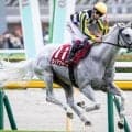 富士Sは前走GI組が複勝率39％ 外枠にも好走傾向
