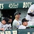 【谷佳知氏の眼】３戦連続完封負け阪神に第４戦で大事なのは　短期決戦は勢いがない方が負ける