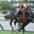 半姉は二冠牝馬チェルヴィニア チェルヴァーラが3連勝なるか